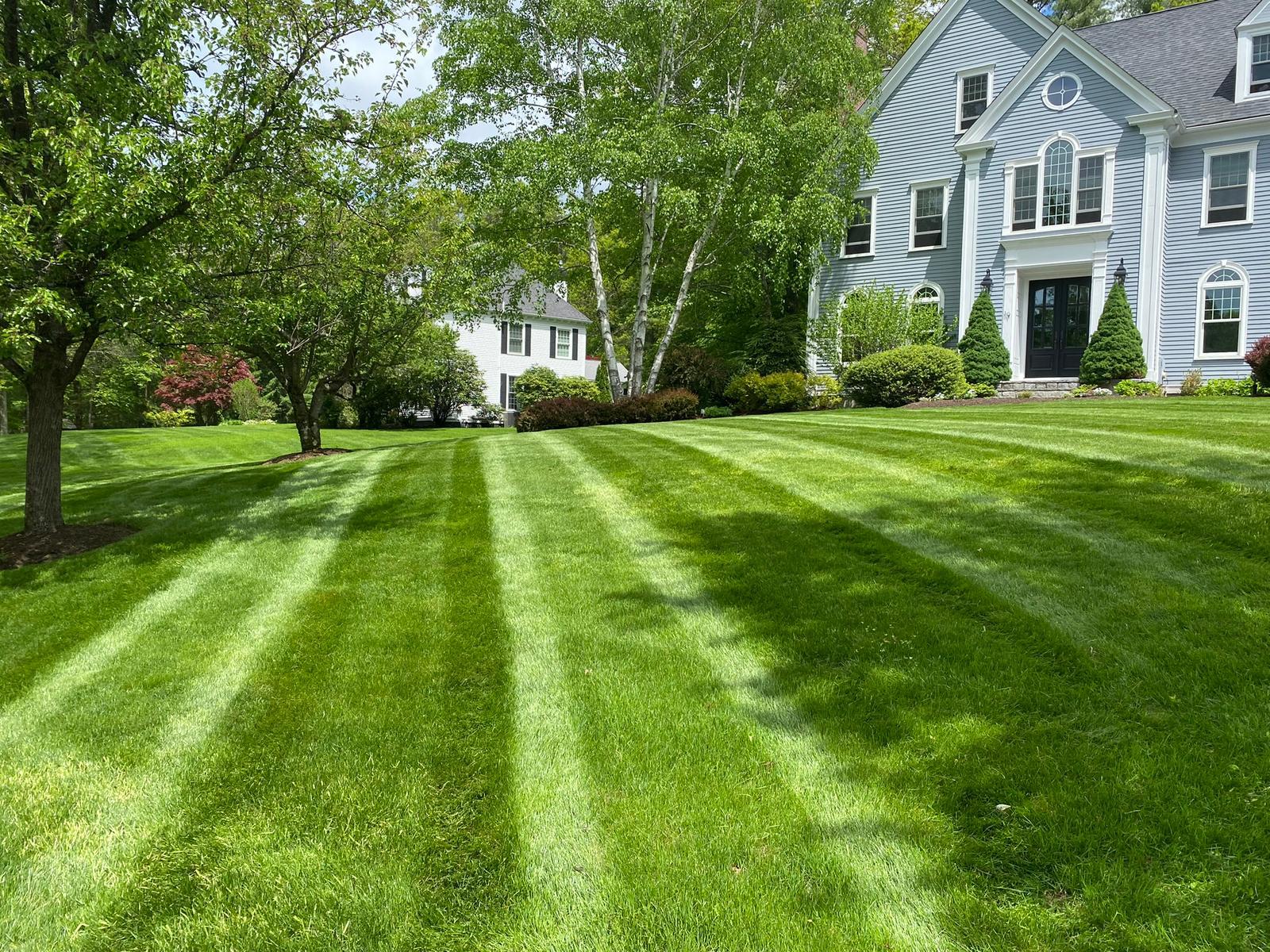 Lawn stripes