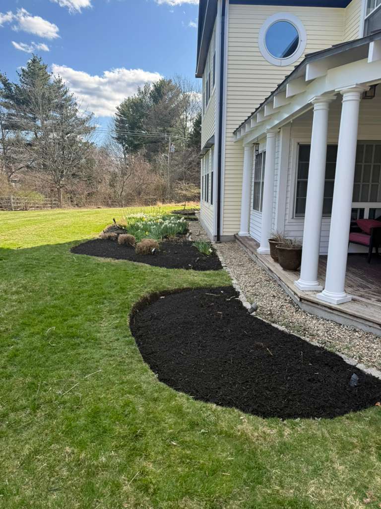 After cleanup